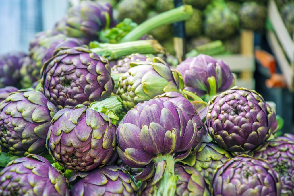 What Is An Artichoke Ruistars pin-on-vegetables-for-porcelain