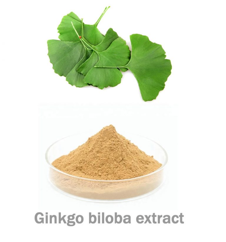 Ginkgo Biloba Extract FIavonol Glycoside 100 natural Ruistars