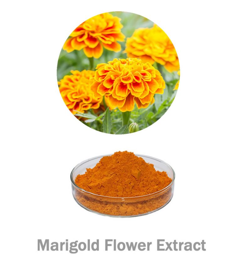 Lutein Powder 100 natural Marigold Flower Extract Ruistars