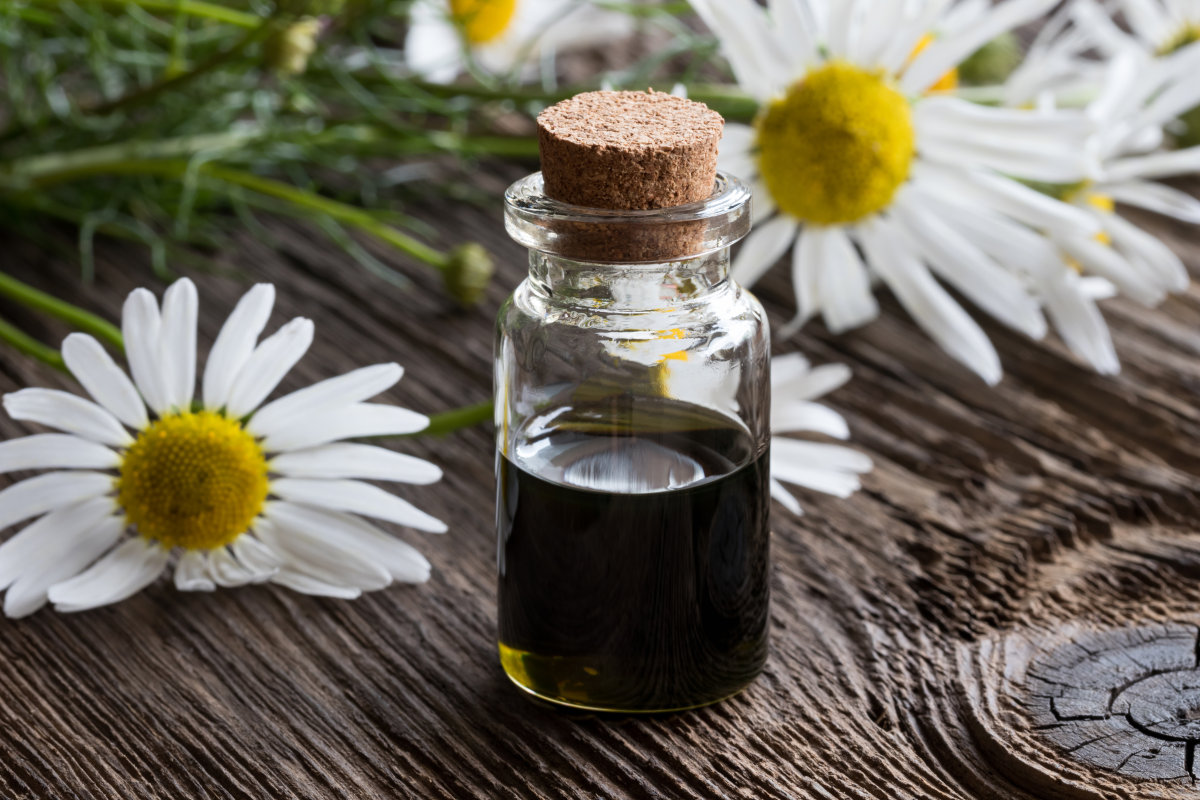 Chamomile oil