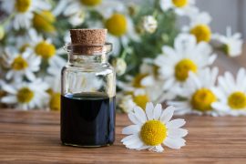 Chamomile Oil