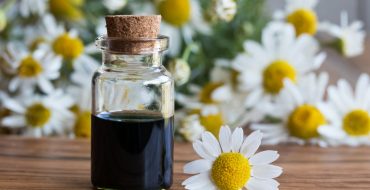 Chamomile Oil