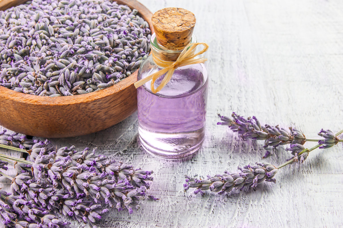 Lavender Hydrolat