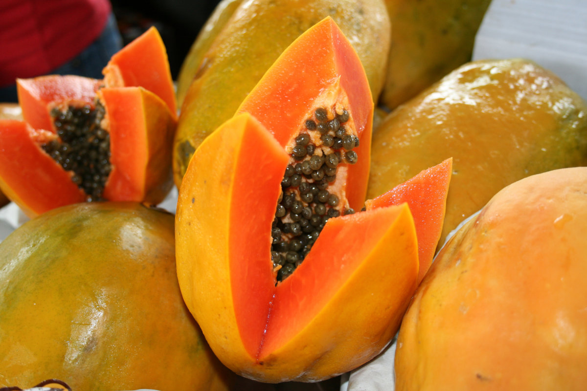 Papain Powder(Papaya Extract)