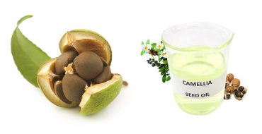 Camellia oleifera seed oil