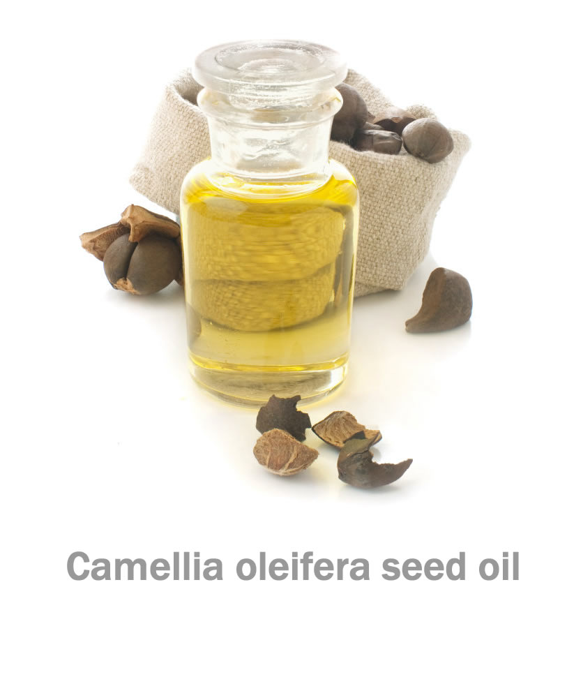 Camellia oleifera seed oil