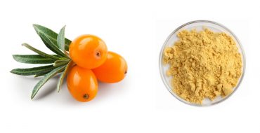 Hippophae Rhamnoides Extract