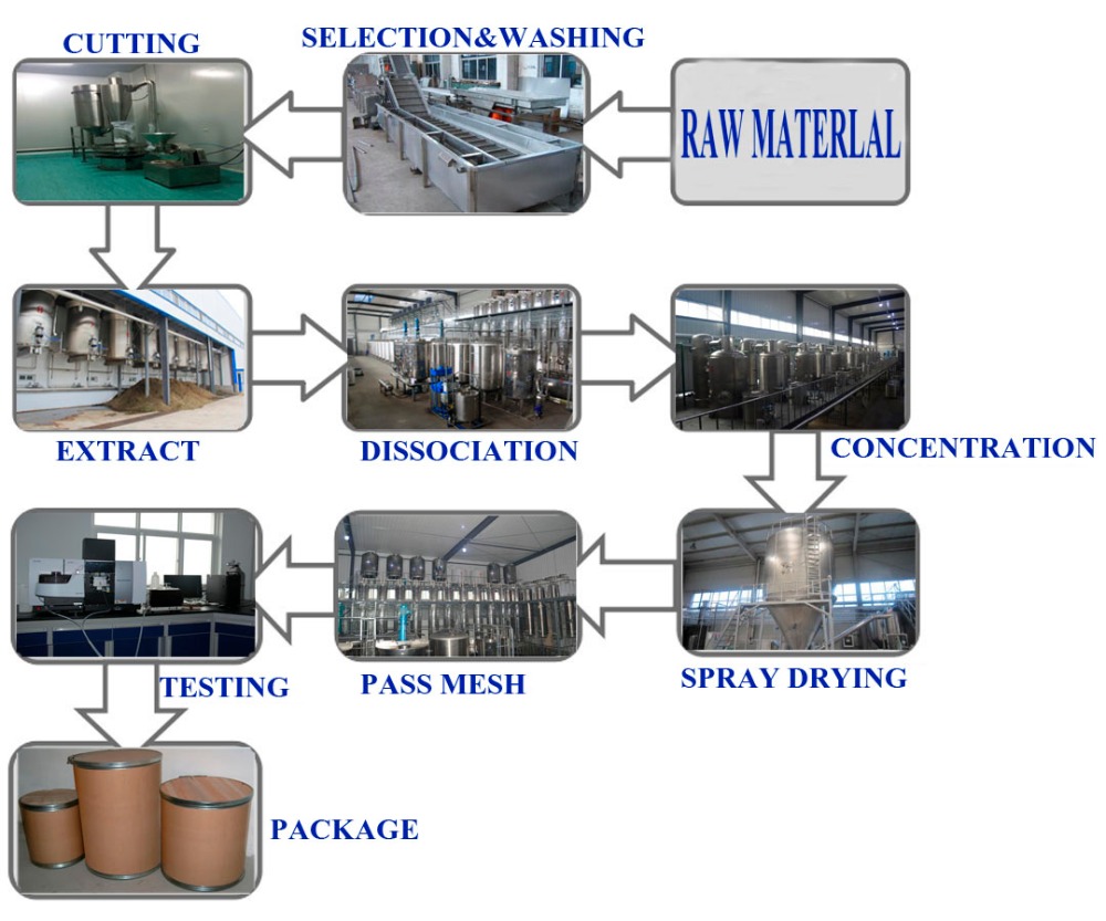Production and Processing of Shikimic Acid Powder Production and Processing of Shikimic Acid Powder