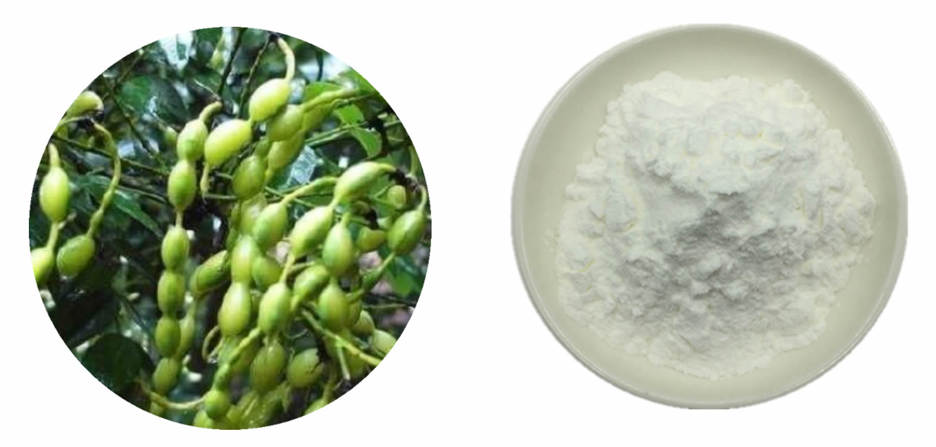 Sophoricoside Powder Sophoricoside Powder