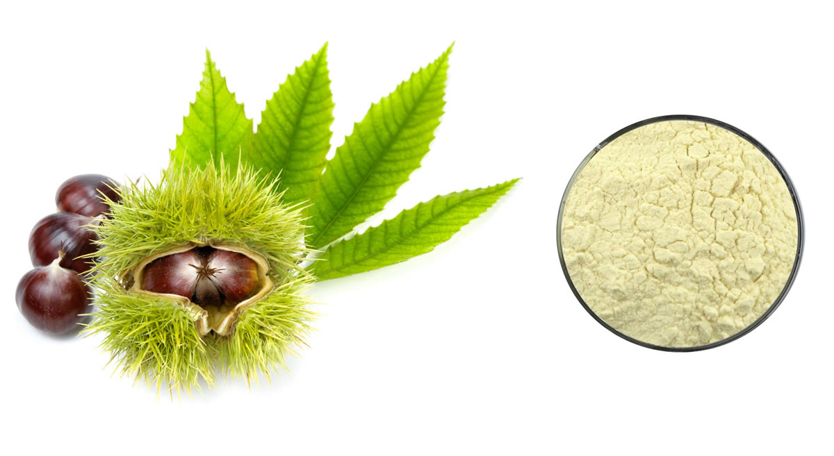 Esculetin Powder Esculetin Powder