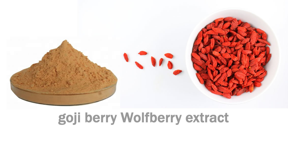 wolfberry extract