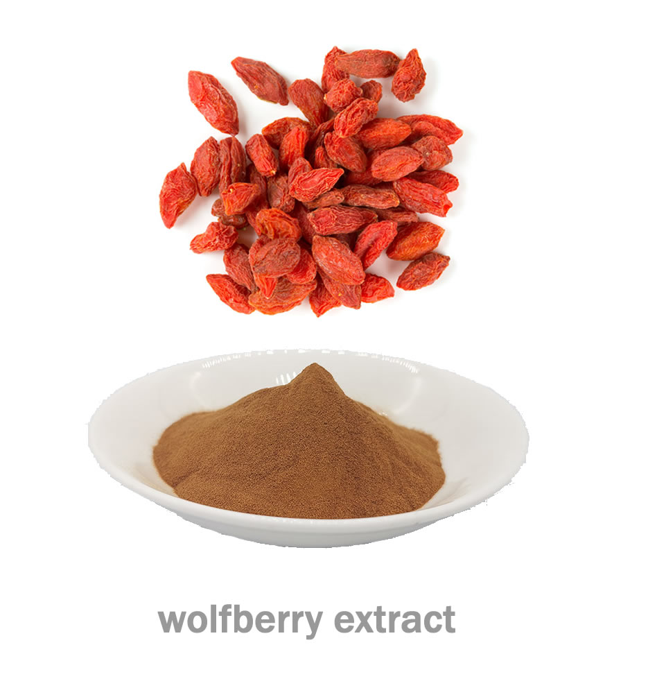 wolfberry extract